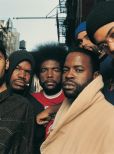 The Roots