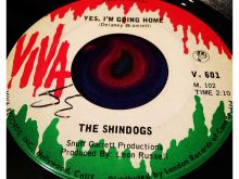 The Shindogs