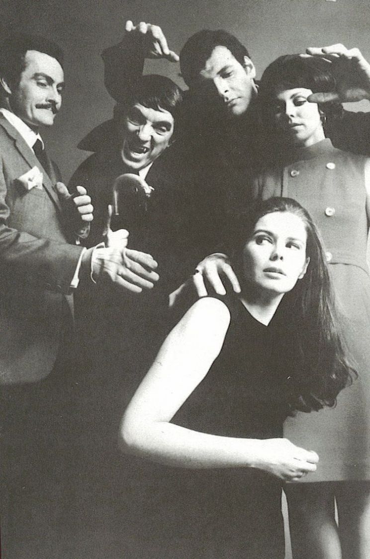 The Shindogs