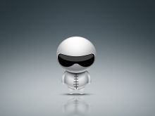 The Stig