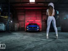 The Stig