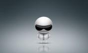The Stig