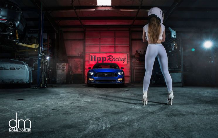The Stig
