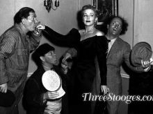 The Three Stooges