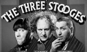 The Three Stooges