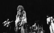 The Who