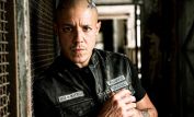 Theo Rossi