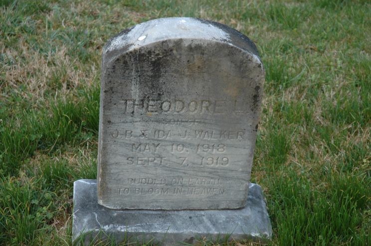 Theodore Lawrence