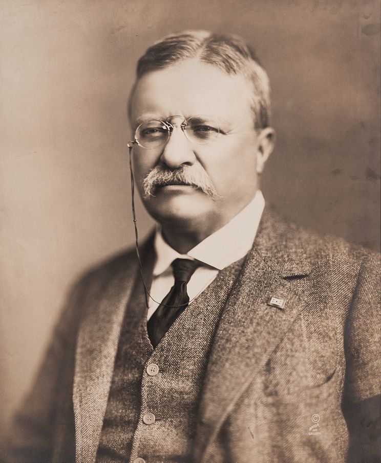 Theodore Roosevelt