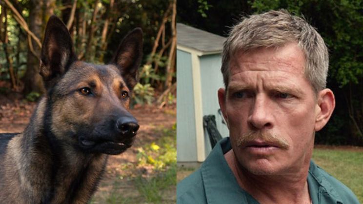 Thomas Haden Church