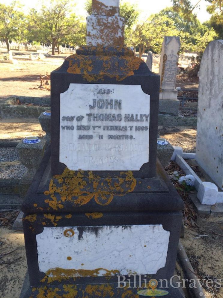 Thomas Haley
