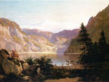 Thomas Hill