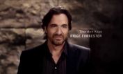 Thorsten Kaye