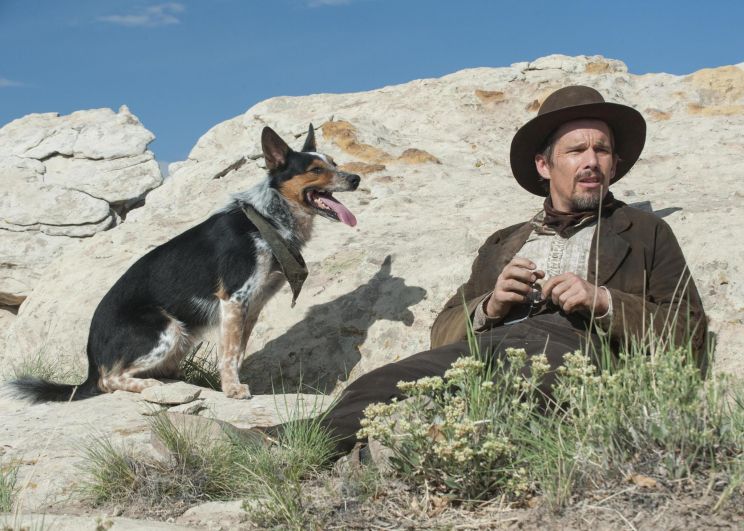 Ti West