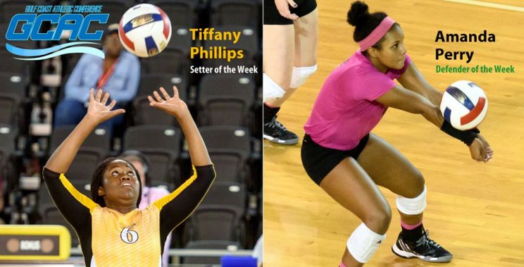 Tiffany Phillips