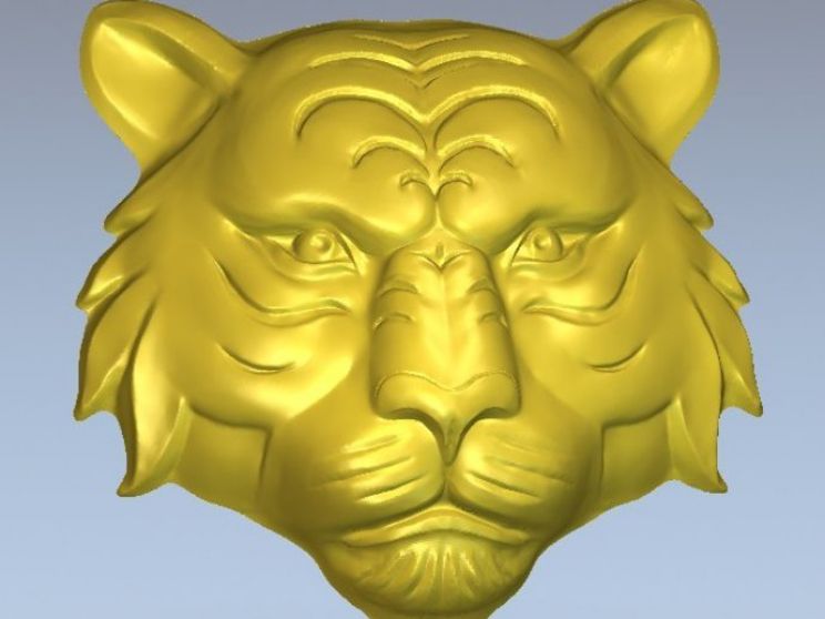 Tigr