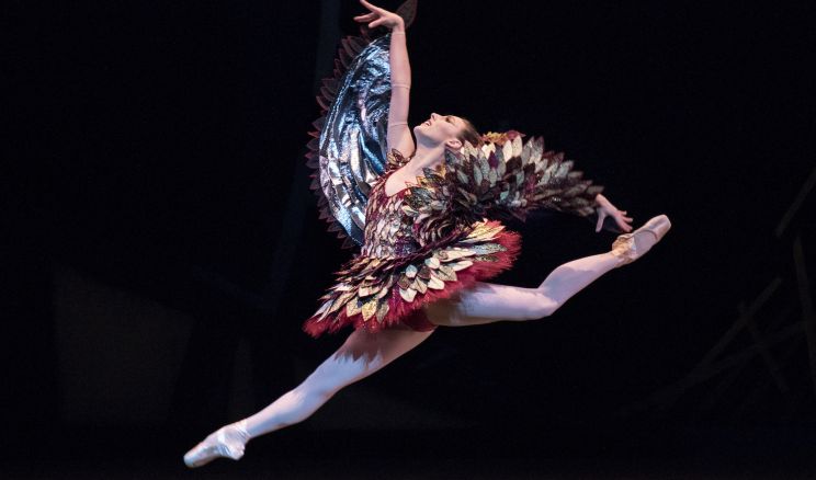 Tiler Peck