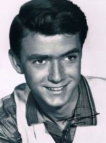 Tim Considine