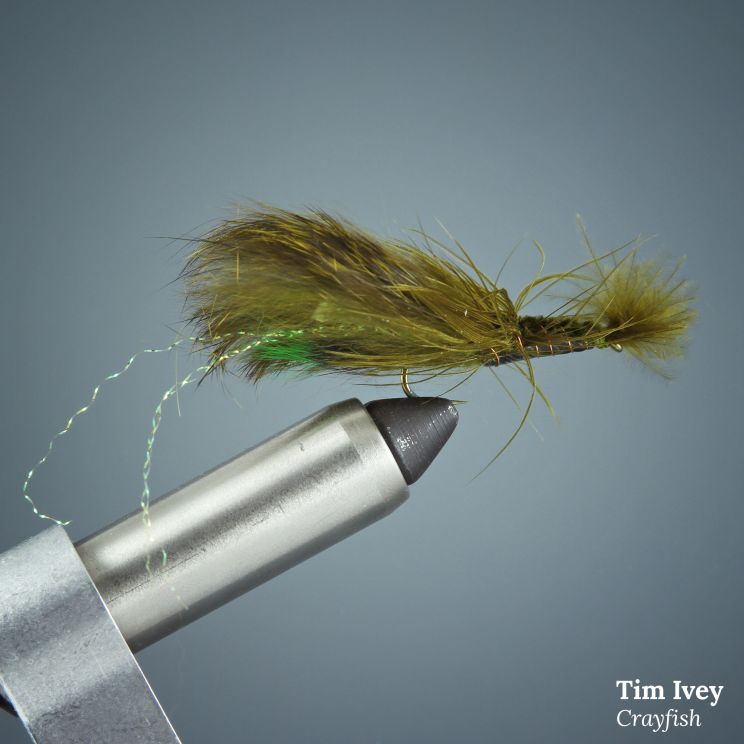 Tim Ivey