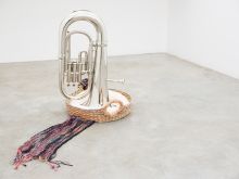 Tim Woodward