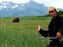 Timothy Treadwell