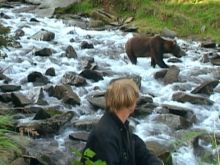 Timothy Treadwell