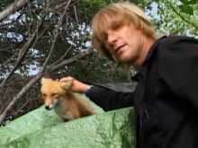 Timothy Treadwell #2215342 picture (Landscape Medium)
