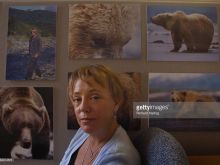 Timothy Treadwell #2215343 picture (Landscape Medium)
