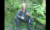 Timothy Treadwell