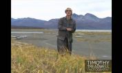 Timothy Treadwell