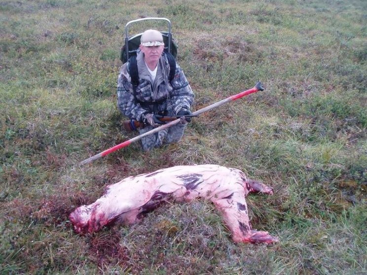 Timothy Treadwell