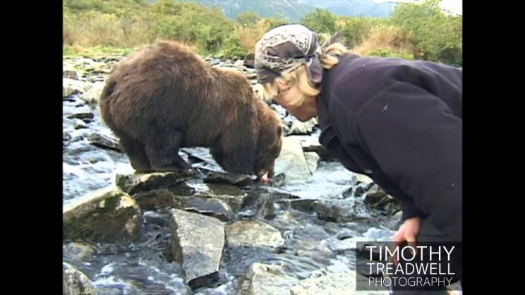 Timothy Treadwell