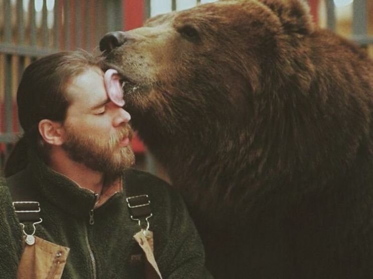 Timothy Treadwell