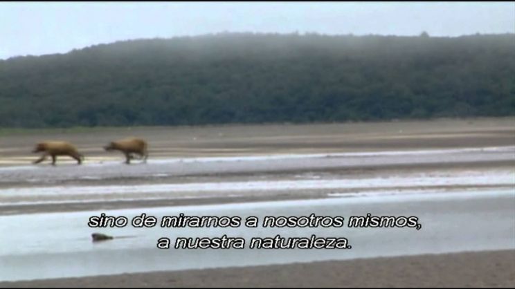Timothy Treadwell