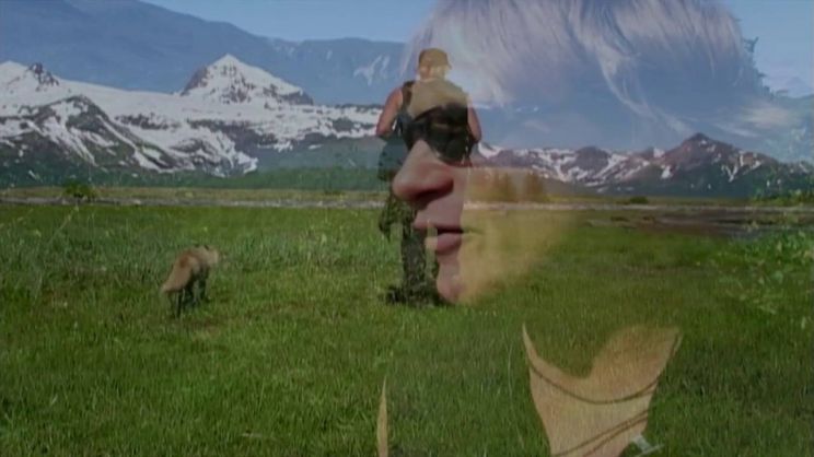 Timothy Treadwell