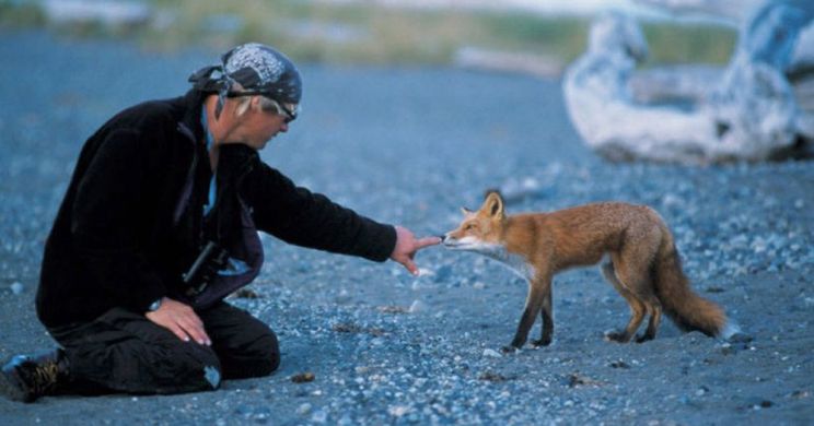 Timothy Treadwell