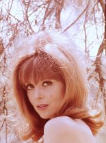 Tina Louise