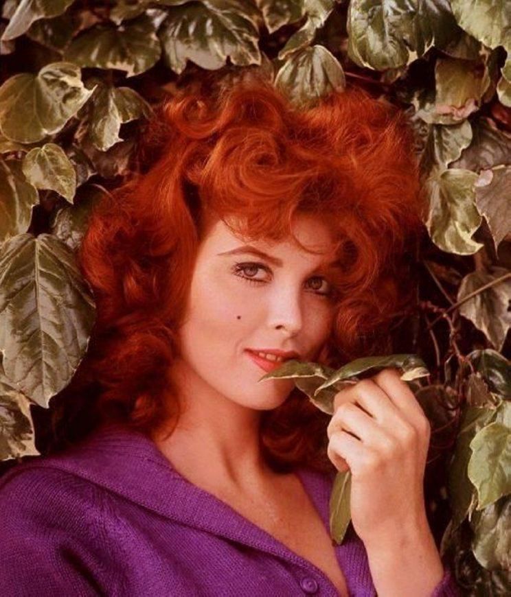 Tina Louise