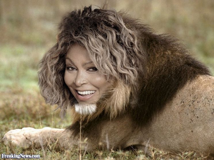 Tina Turner