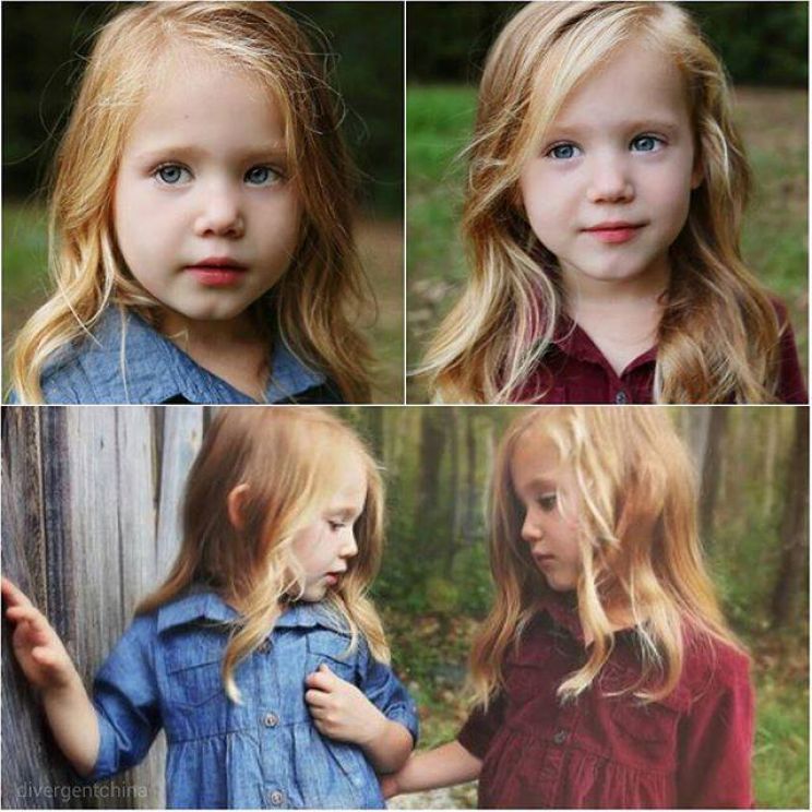 Tinsley Price