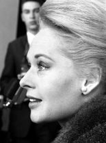 Tippi Hedren #258181 picture (Portrait Medium)