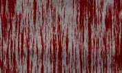 Todd Blood