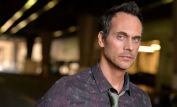 Todd Stashwick