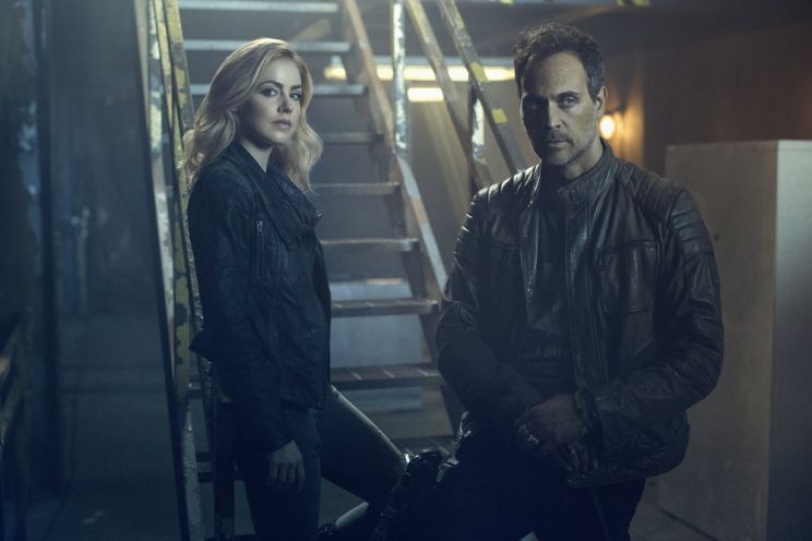 Todd Stashwick