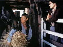 Tom Burlinson