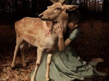 Tom Chambers