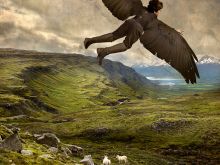 Tom Chambers