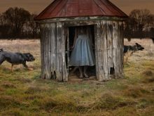 Tom Chambers