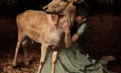 Tom Chambers