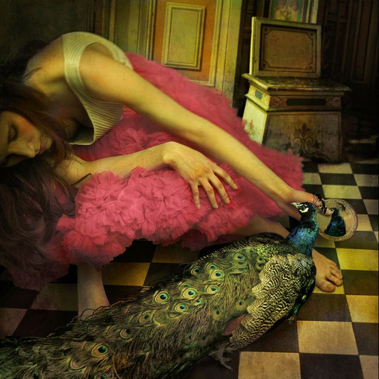 Tom Chambers